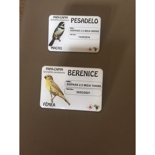 Plaquinha personalizada de gaiola