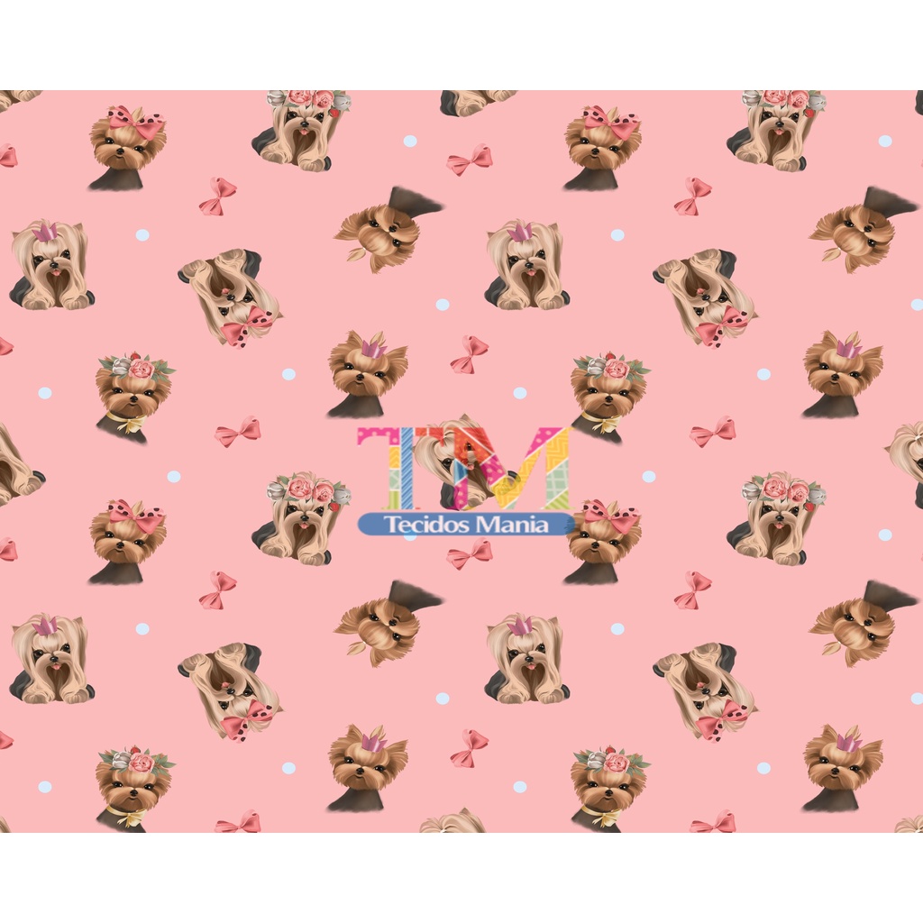 Yorkshire 0: Guia Completo e Onde Comprar | BuscaProdutos