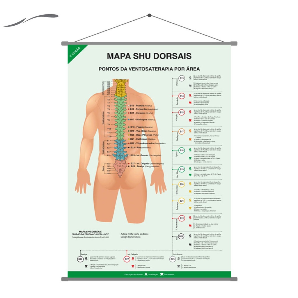 Mapa Banner 90x60 cm Pontos Ventosaterapia Shu Dorsais Prof. Elaine Medeiros Poster Grande de Parede