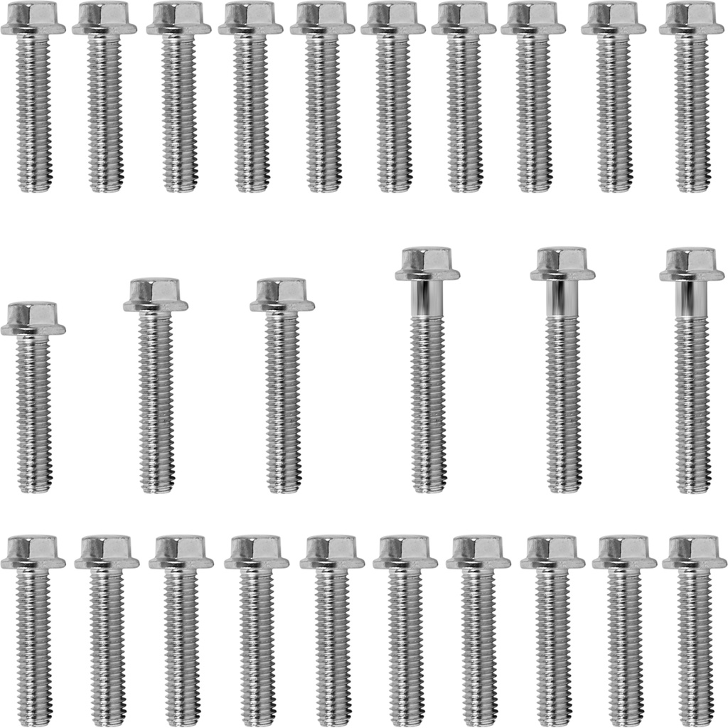 Kit parafusos tampa motor lateral esquerda+direita CB500 1997 a 2005 Honda CB500 Antiga