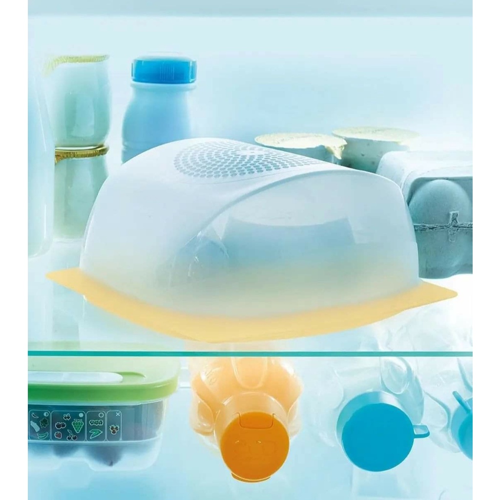 Queijeira da Tupperware: Onde Comprar | BuscaProdutos