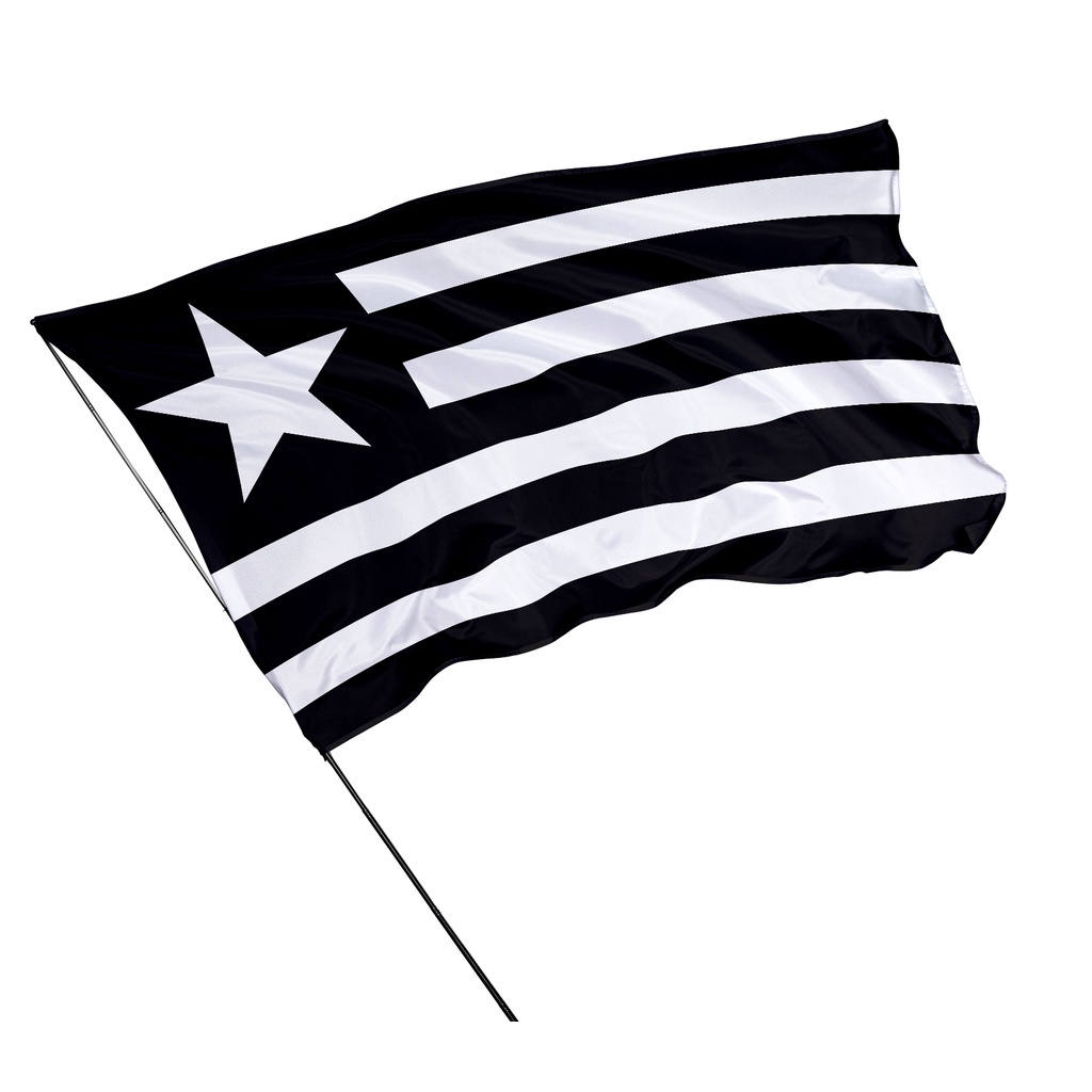 Bandeira Do Botafogo 1,45m X 1m - Bf02