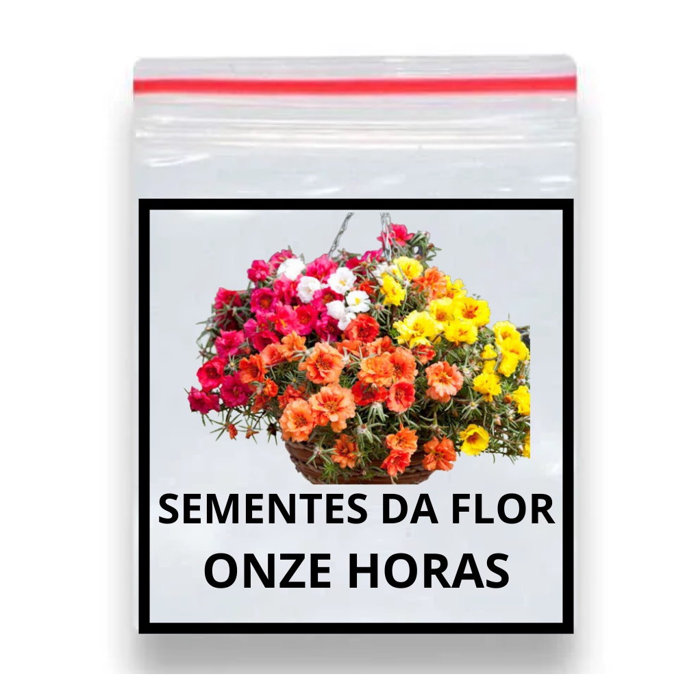 1800 Sementes Da Flor Onze Horas Multicoloridas | Shopee Brasil