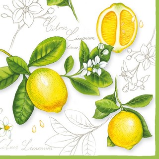 Guardanapo para Decoupage Cod56 - KIT COM 2 UNIDADES IGUAIS- imagem de Limão Siciliano KIT COM 2 UNIDADES IGUAIS