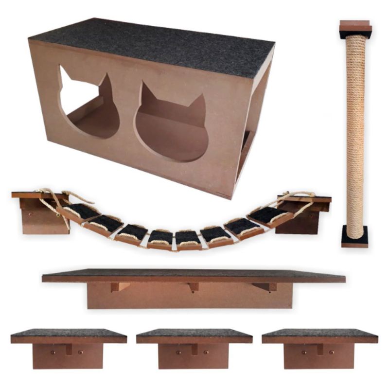 Gato Bengal: Guia Completo e Onde Comprar | BuscaProdutos