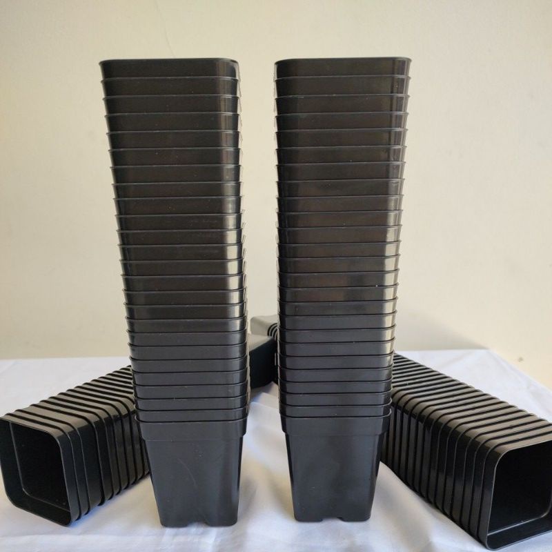 Kit com 20 ou 50 unidades - Potes 9 Nobre Quadrados na Cor Preta em Oferta na Shopee