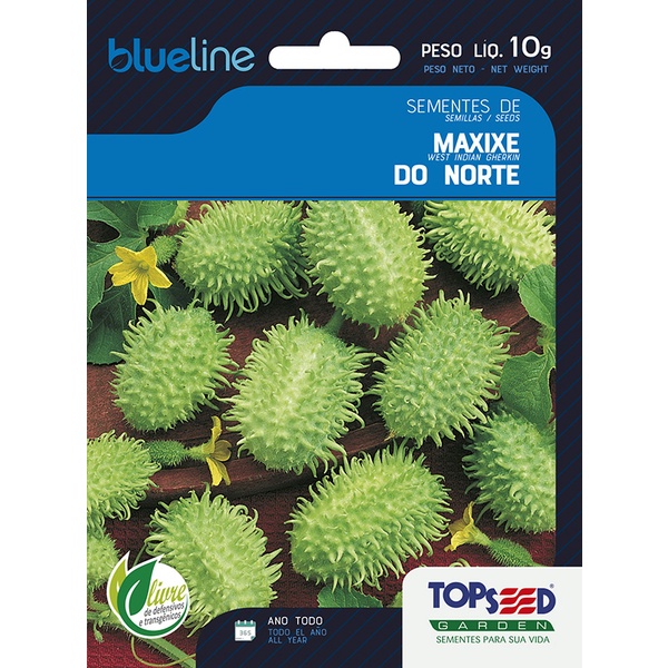 Sementes de Maxixe do Norte 10 Gramas Blue Line Topseed Garden