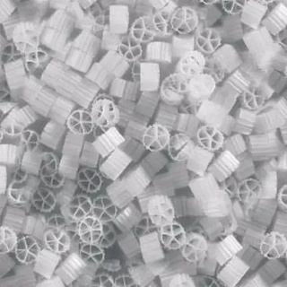 Biomidia Biológica Tratamento Lago Aquário Esgoto 20 L