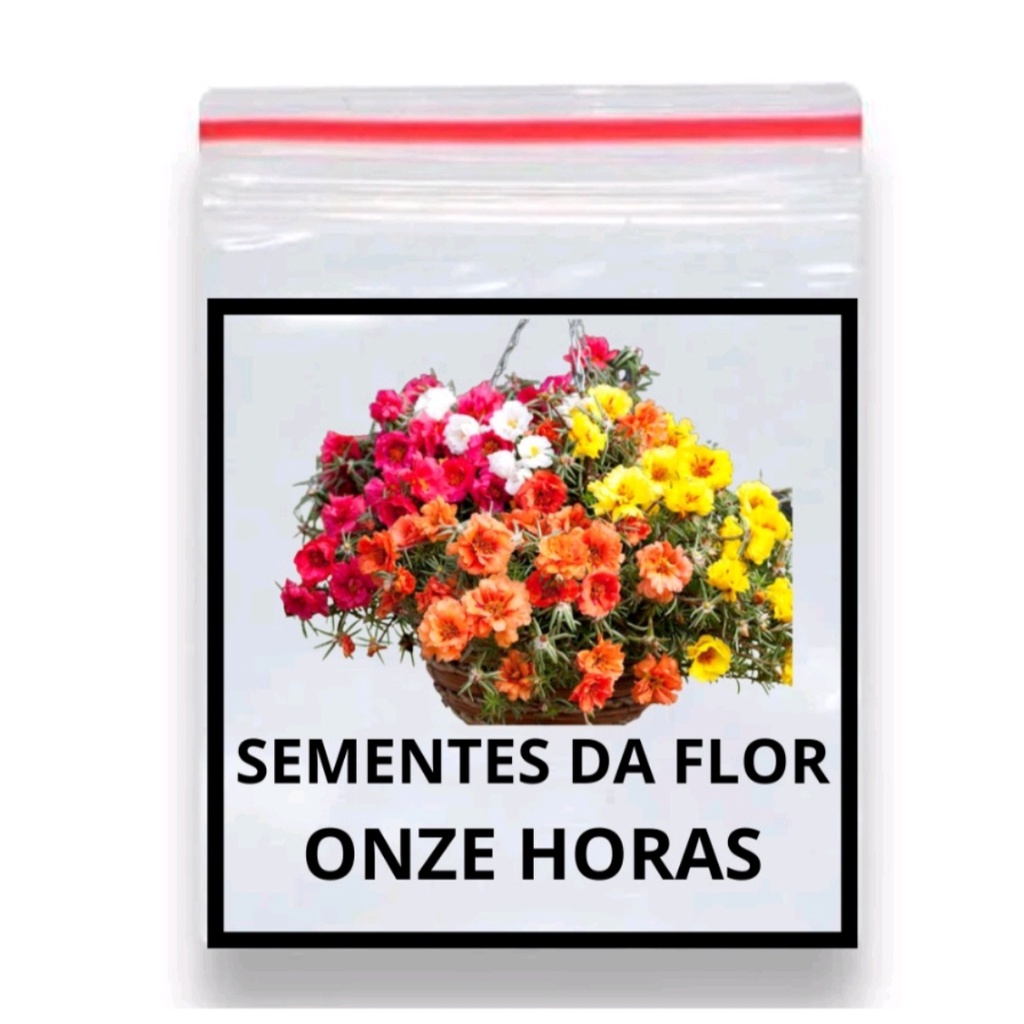 Flor Onze Horas/ Portulaca Grande Flora Sortido 1.100 Sementes | Shopee  Brasil