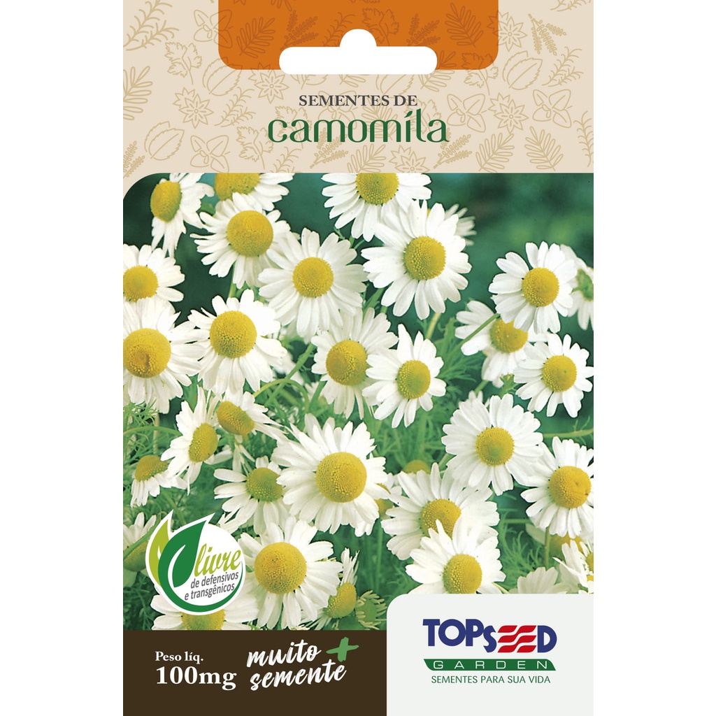 Imagem Sementes de Camomila 100mg Ervas Chá Calmante Flores Vasos Horta