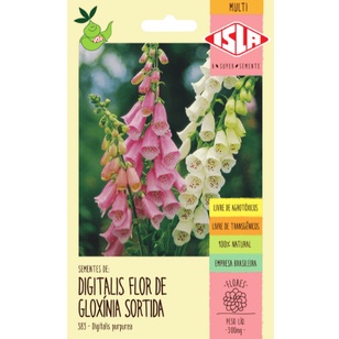 Sementes de Dedaleira - Digitalis Flor de Gloxinia Sortida 2210 Sementes |  Shopee Brasil