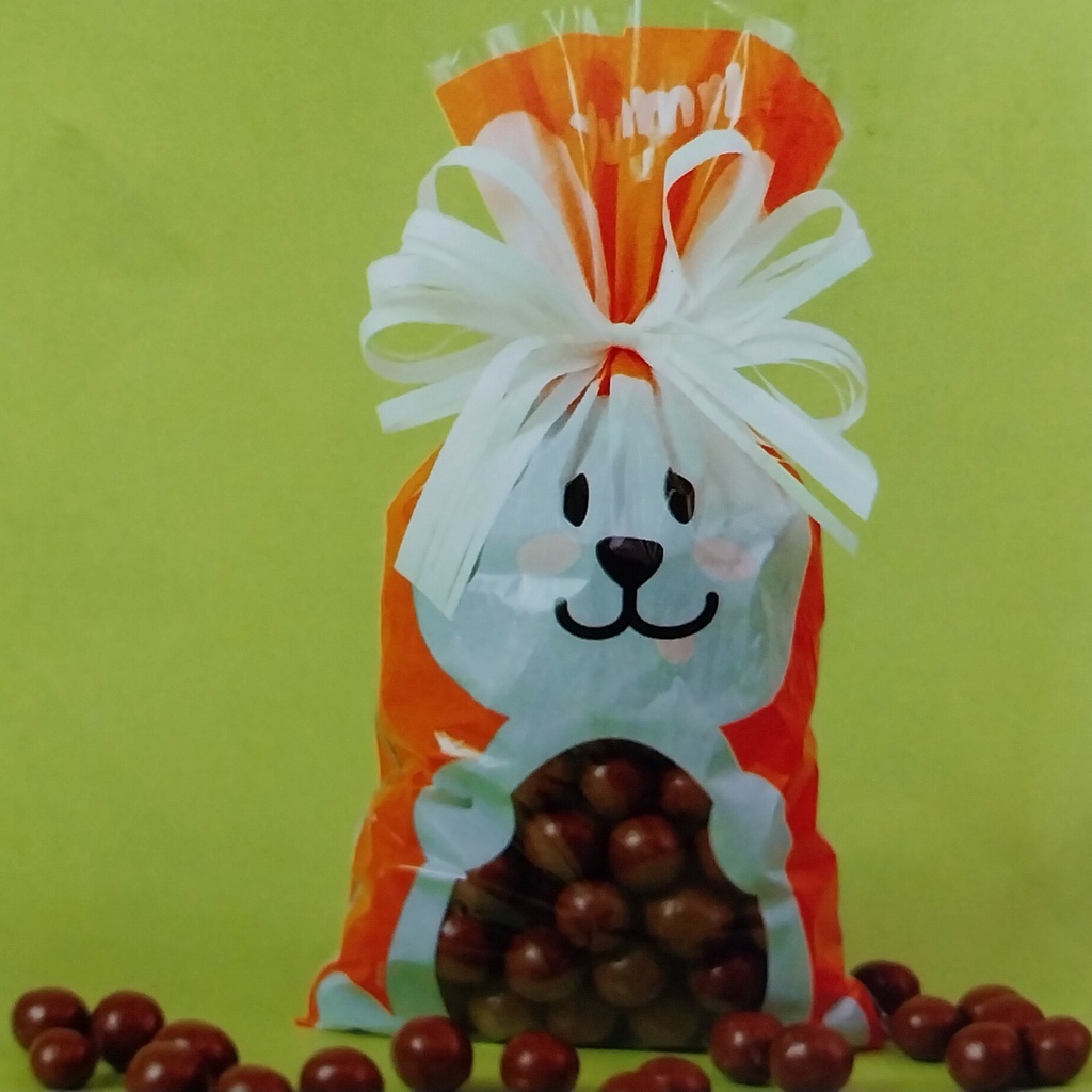 Saco de Presentes para Páscoa Opções de Cores 12cm x 22cm 50 unidades