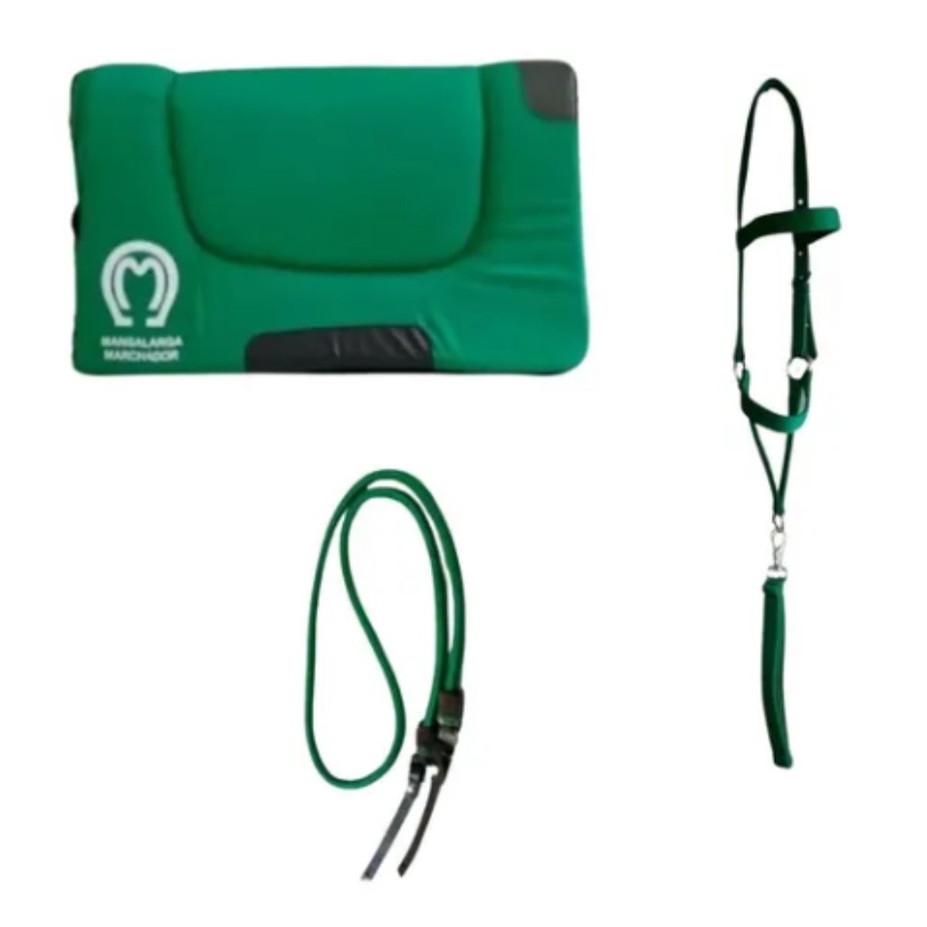 Kit Para Cavalo Manta + Cabresto+ Rédea De Poli - Cor Verde