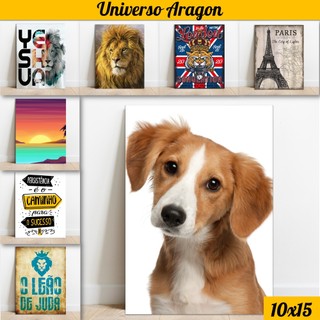 Placas Quadros Decorativos Com Temas Variados