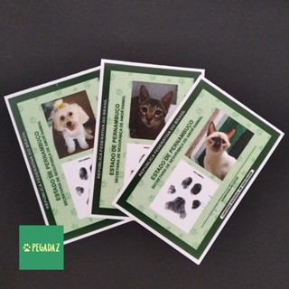 Carteira De Identidade Pet Shopee Brasil