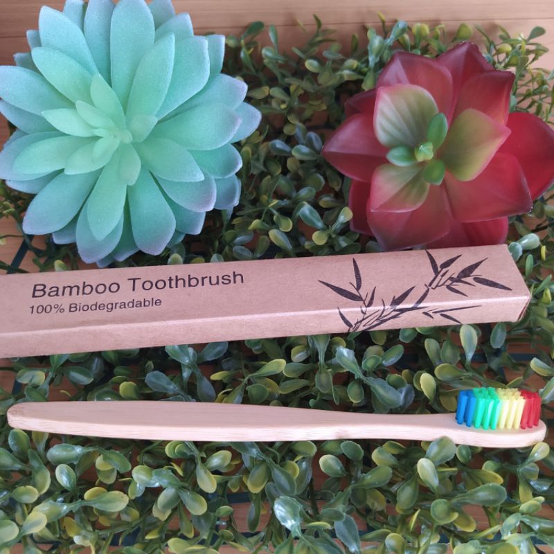 Escova Ecologica Bambu / Dental
