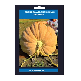 20 Sementes MORANGA  Gigante Dills Atlantic em Oferta na Shopee