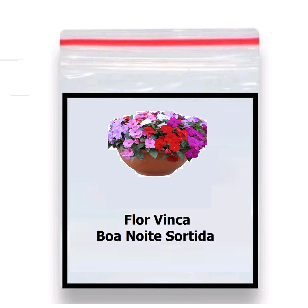 200 Sementes da Flor Vinca Boa Noite Sortida | Shopee Brasil