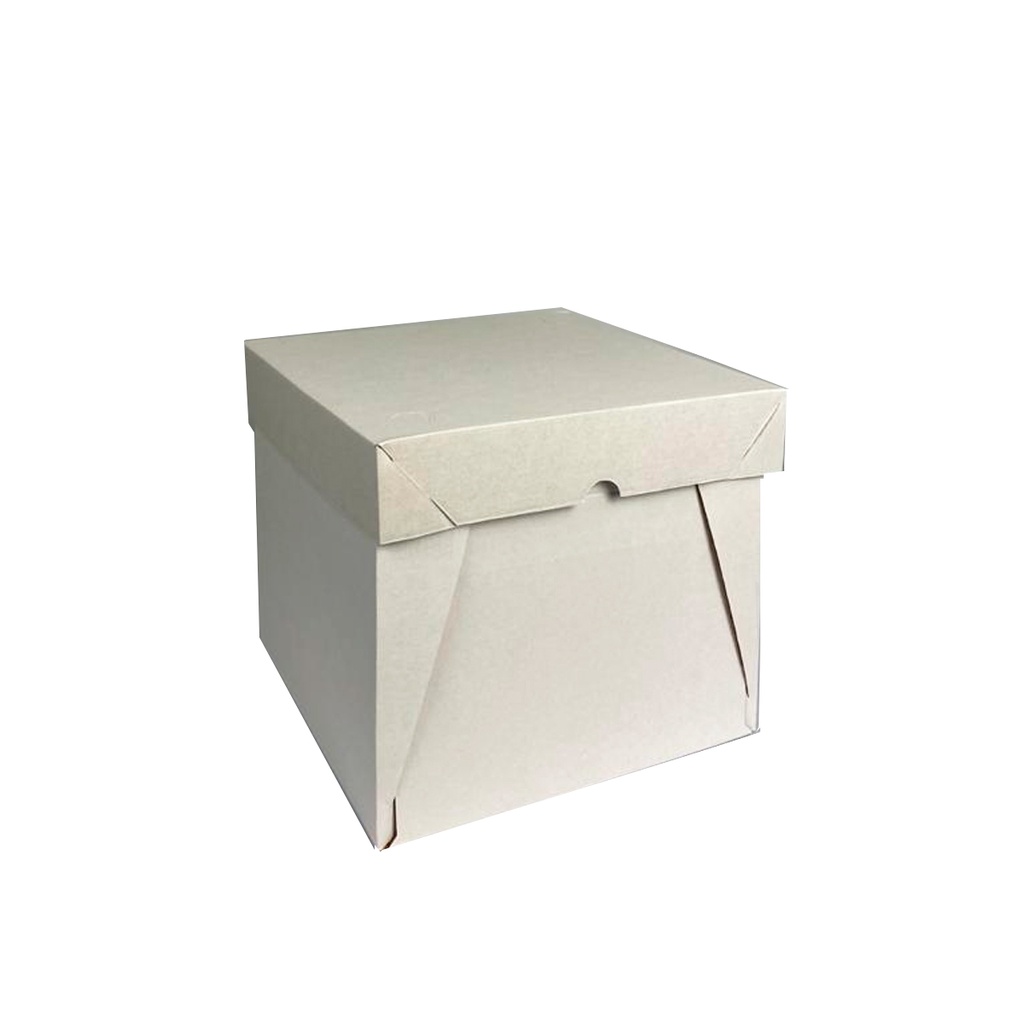 10 UNI - CAIXA TRANSPORTE BOLO 25X25X17 CM