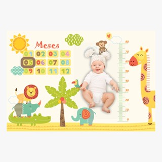 Cenario para Fotos de Mesversario Acompanhamento Mensal Bebê em Oferta na Shopee