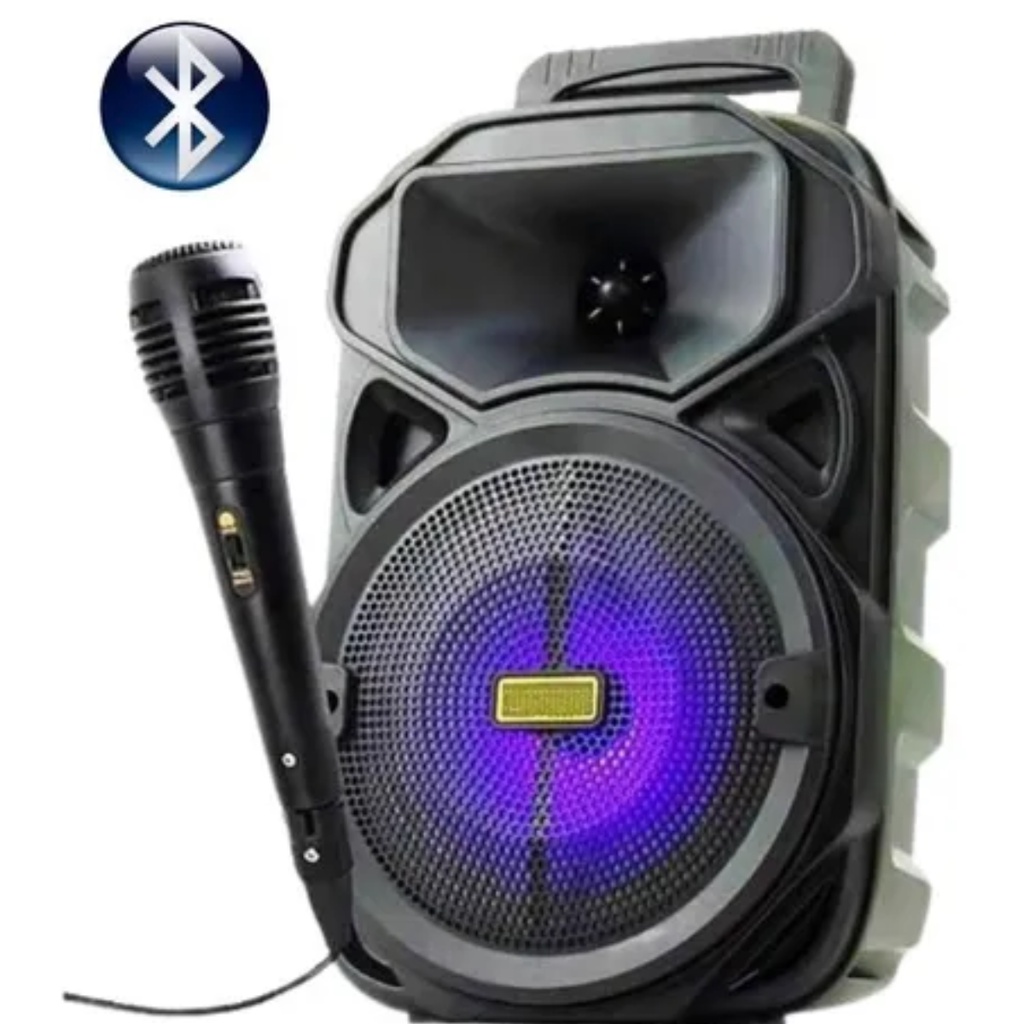 Caixa De Som Bluetooth Portátil Grande 30cm Com Microfone | Shopee Brasil