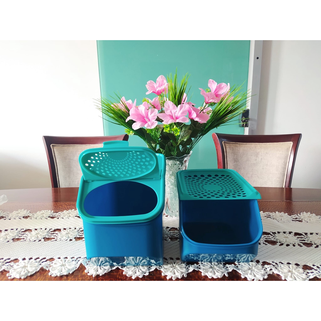 Modular Batata e Modular Cebola Tupperware