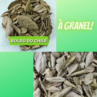 CHÁ DE BOLDO (BOLDO DO CHILE) preço p/cada 100g À GRANEL em Oferta na Shopee