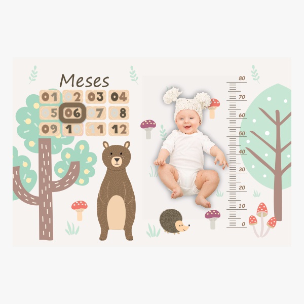 Cenário para Fotos Mesversario Bebê Menino Animais
