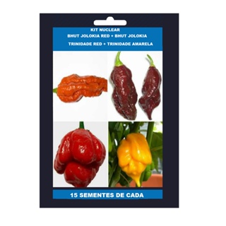 Kit sementes das 4 Pimentas Nuclear. 100 %original ardidas em Oferta na Shopee