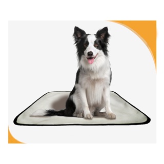 Kit 3 Tapetes Higiênico Lavável Super Absorção200 Lavagens, 3 unidades em Oferta na Shopee