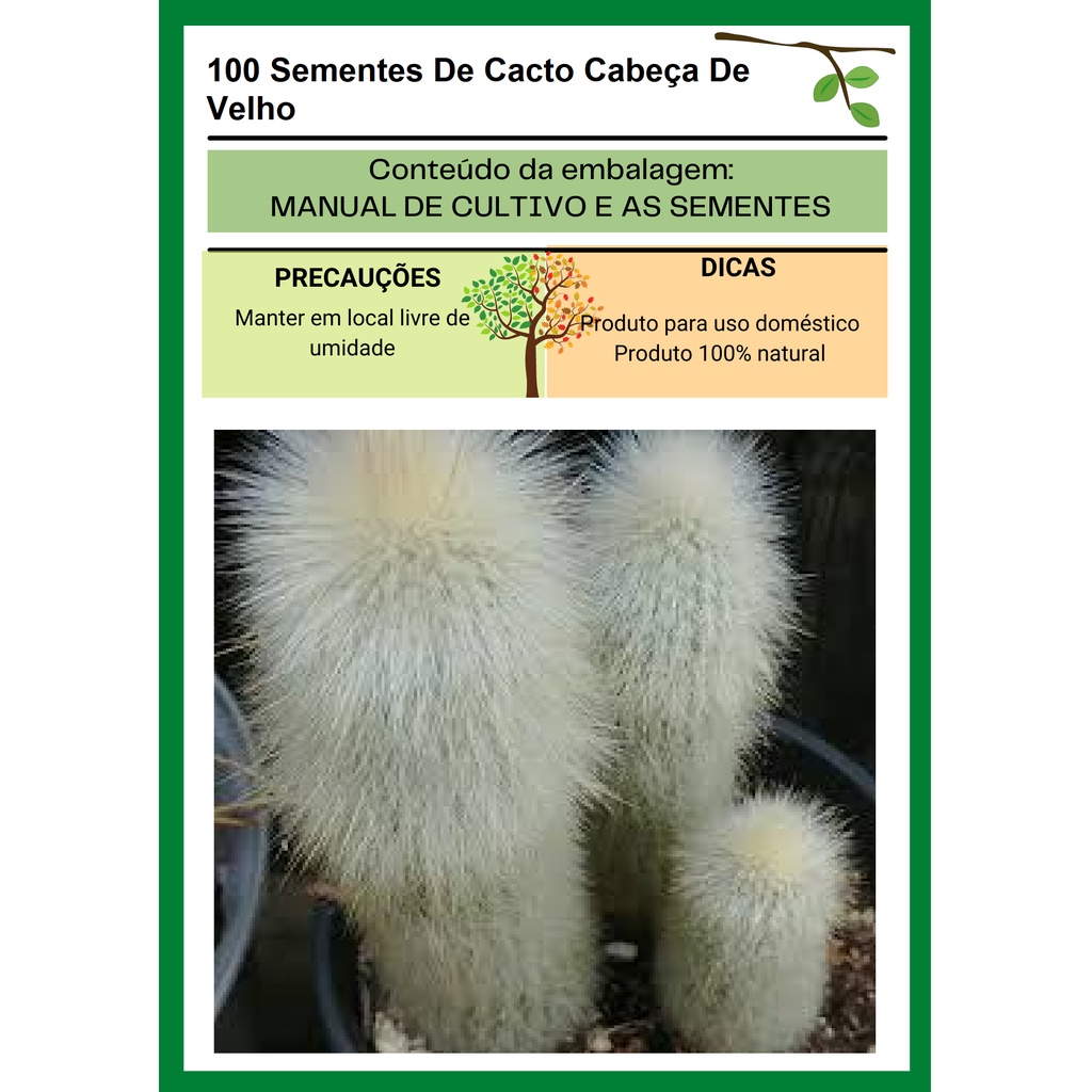 100 Sementes De Cacto Cabeça De Velho