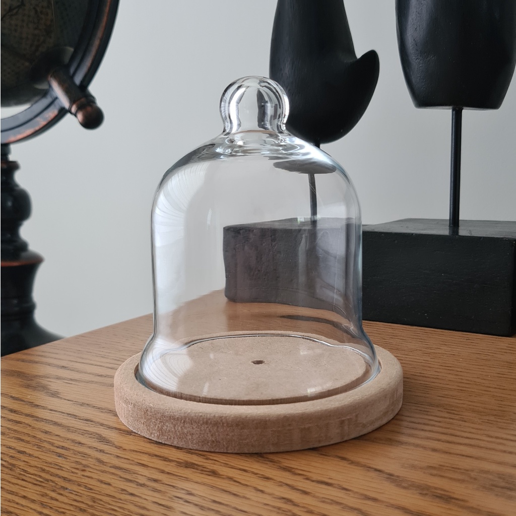 Cúpula Base de Madeira: Onde Comprar | BuscaProdutos