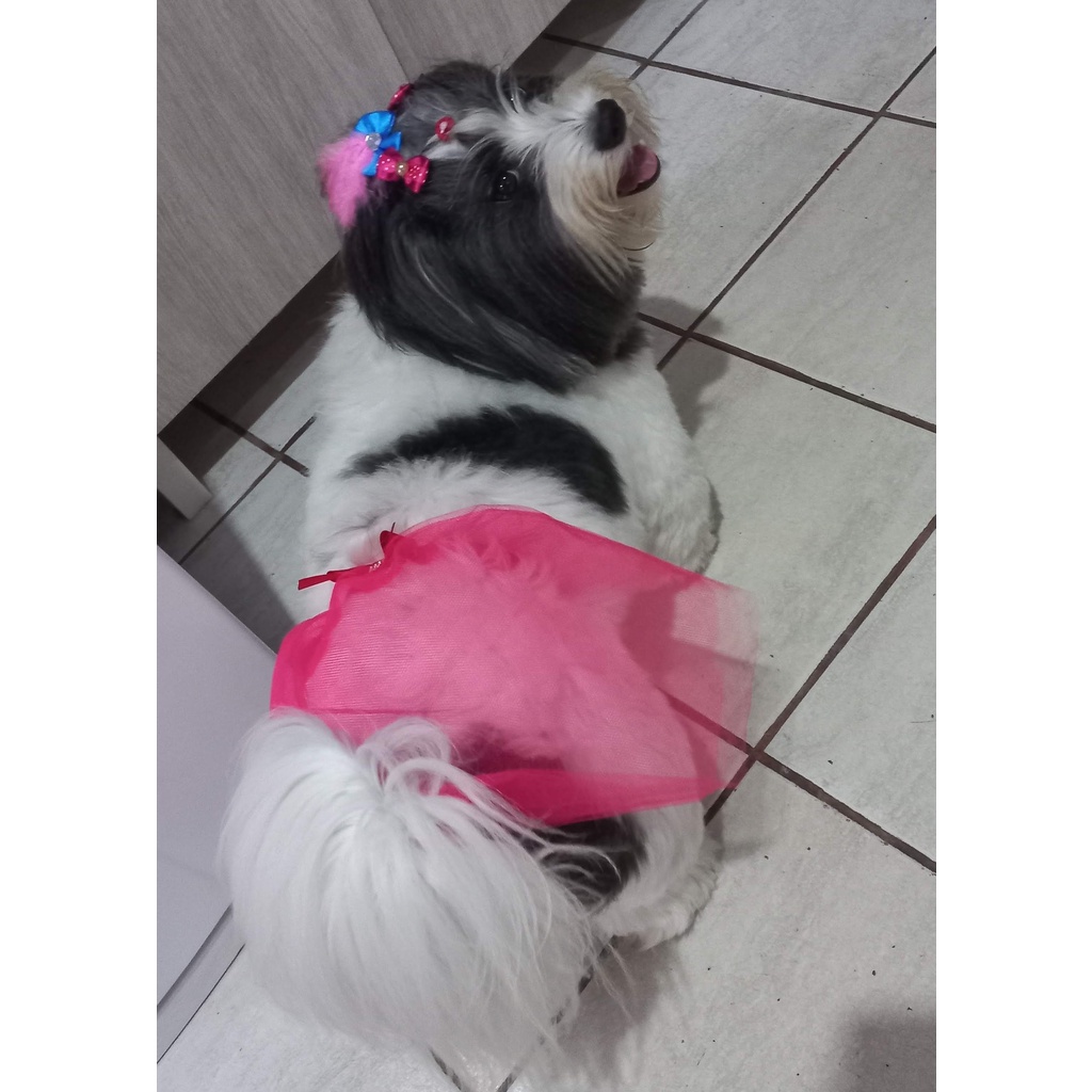 Fantasia de carnaval Pet _ Saia de Carnaval _ Fantasia para cachorro, Gato, porte pequeno médio e Grande.