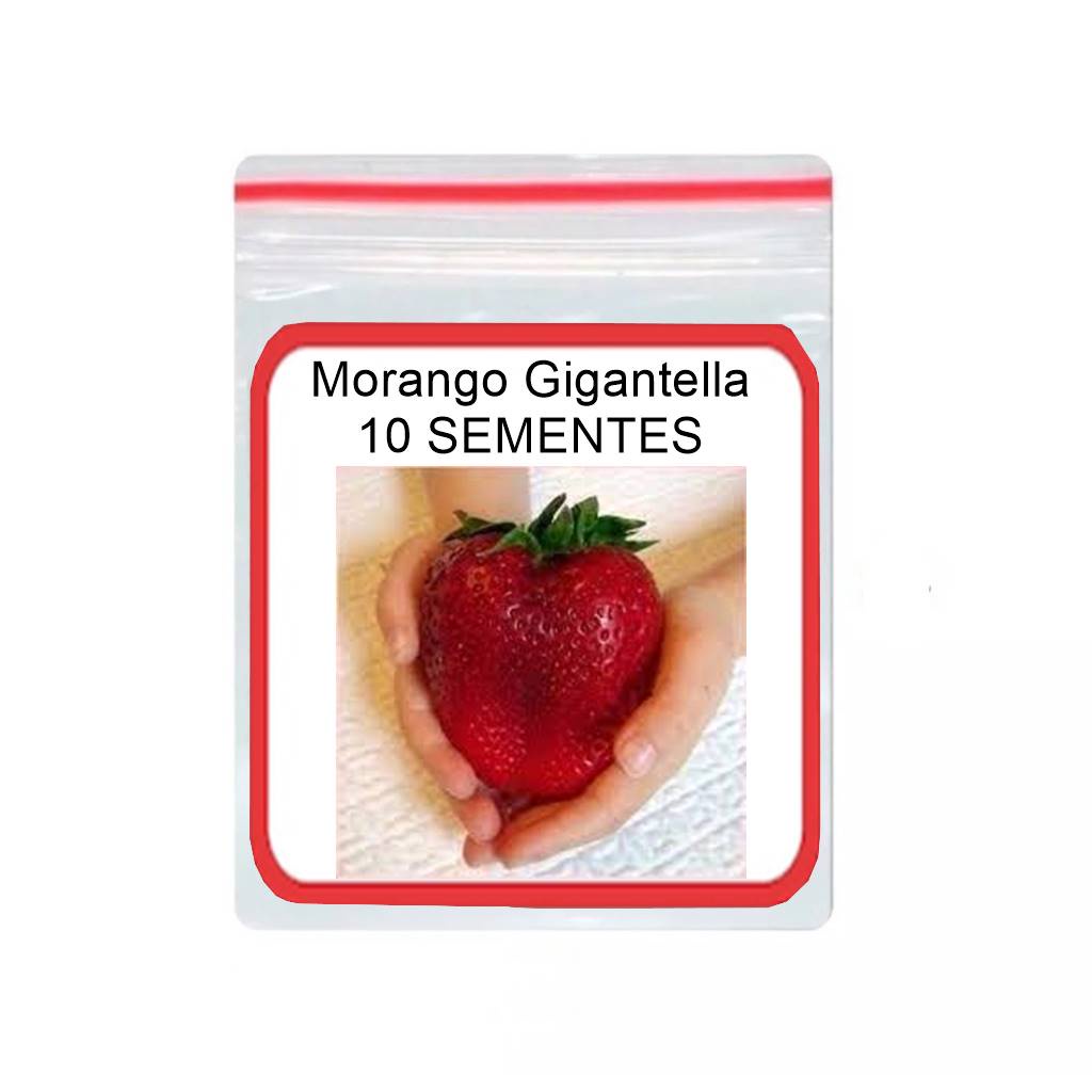 10 Sementes Morango Gigante Gigantella Flor Comestivel