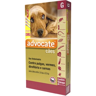 Advocate Antipulgas para Cães de 10 a 25kg Combo 3 Pipetas de 2,5ml Elanco em Oferta na Shopee