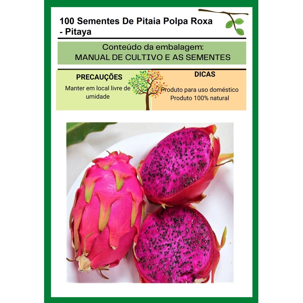 100 Sementes De Pitaia Polpa Roxa - Pitaya | Shopee Brasil