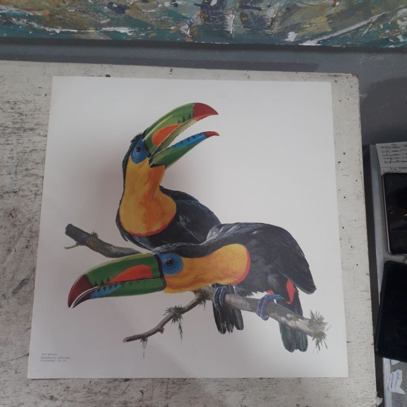 Quadro-Gravuras para quadro tucano 36x36(LER DESCRIÇÃO)