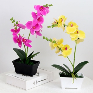 orquídea artificial em Promoção na Shopee Brasil 2023