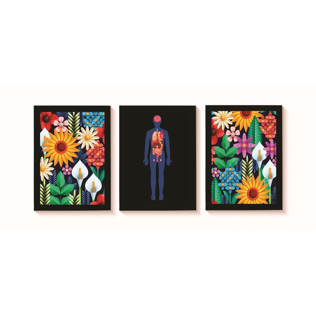 Kit 3 Quadros Decorativos Anatomia do Corpo Humano Molduras 20x30cm Madeira Vidro Cor Pretas