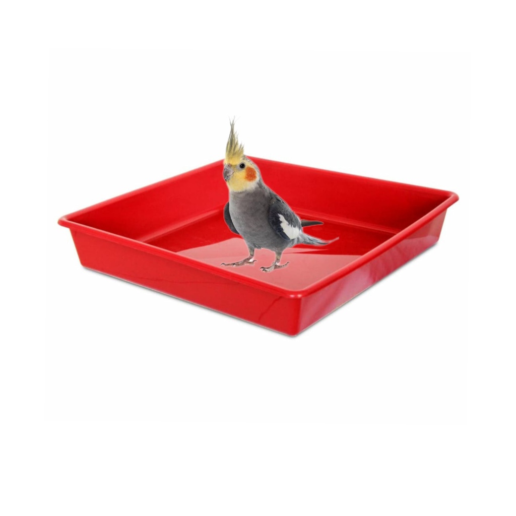 Bandeja Para Gaiola Quadrada  Calopsita em Oferta na Shopee