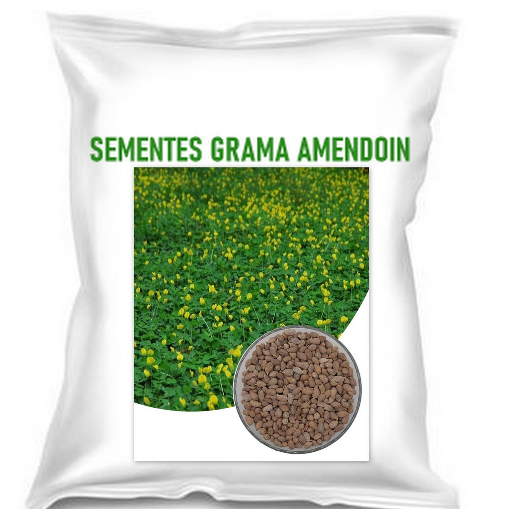 sementes grama amendoin