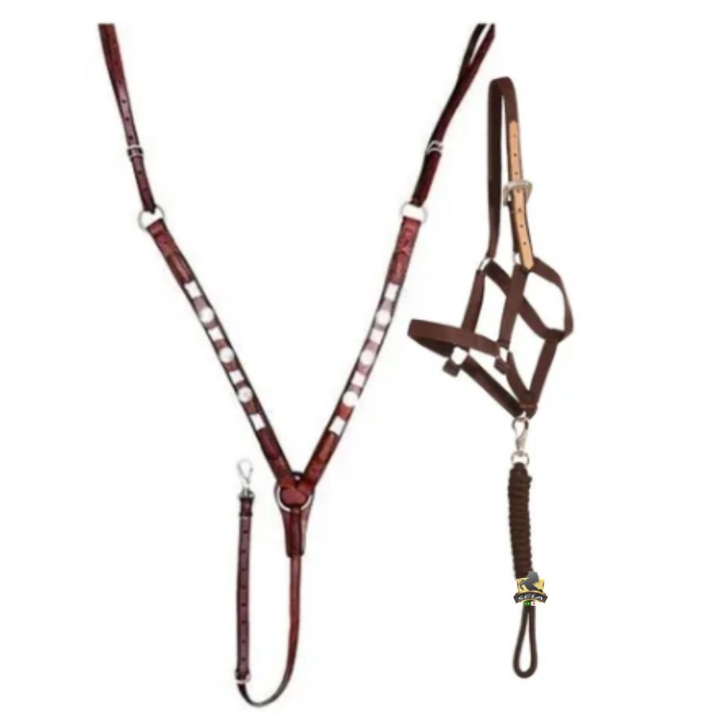 Cabresto Quarto De Milha + Peitoral De Couro Para Cavalos