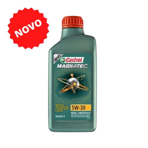 Óleo Lubrificante Castrol Magnatec 5w30 Api Sp 1L