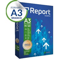 Report A3: Guia Completo e Onde Comprar | BuscaProdutos