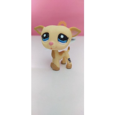 Lot 6 Littlest Pet Shop Greyhound 1585 507 2526 875 498 2041