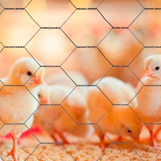 Tela Pinteiro 1,50mt x 40mt Galvanizada (Fio 23 0,71mm / Malha 2,5cm). Promoção em Oferta na Shopee