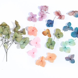 Flores Secas Resina Epóxi Artesanal Para Artesanato