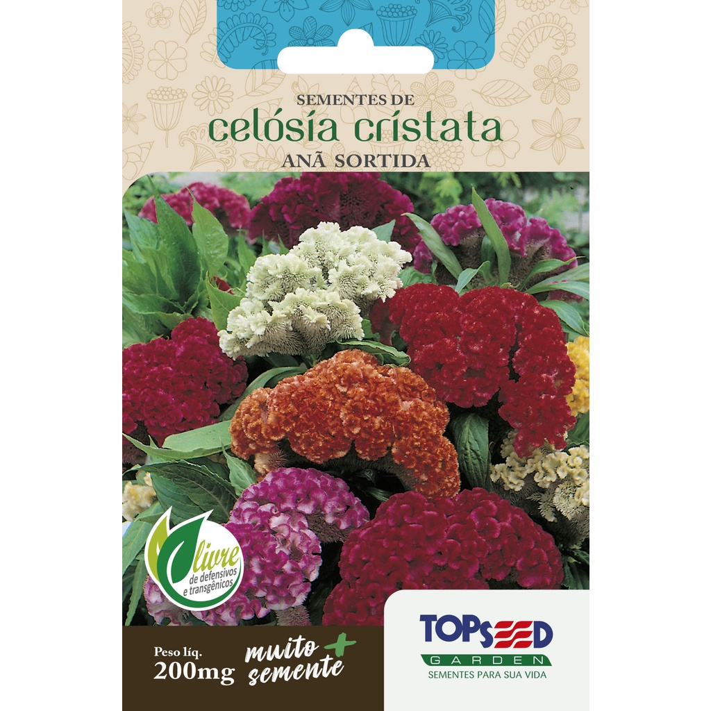 Sementes de Celósia Cristata Anã Sortida Topseed Garden 200mg Flor Crista de Galo para Jardim e Vaso