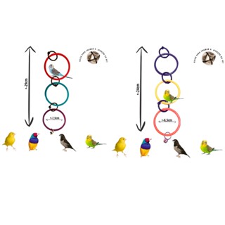Kit de Brinquedos Argolas Balanço para Aves - P e M Periquito Agapornes Aves diversas