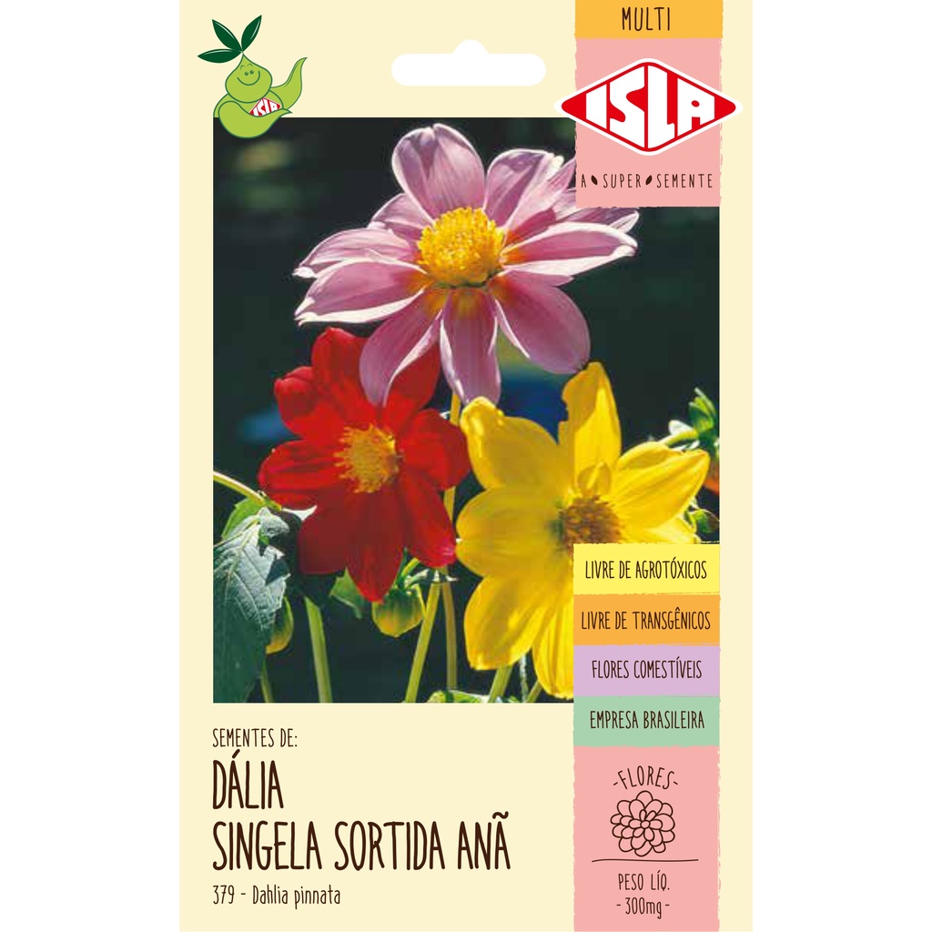 Sementes de Dalia Flores Comestiveis Singela Sortida Anã 40 Sementes Flores  Comestíveis | Shopee Brasil